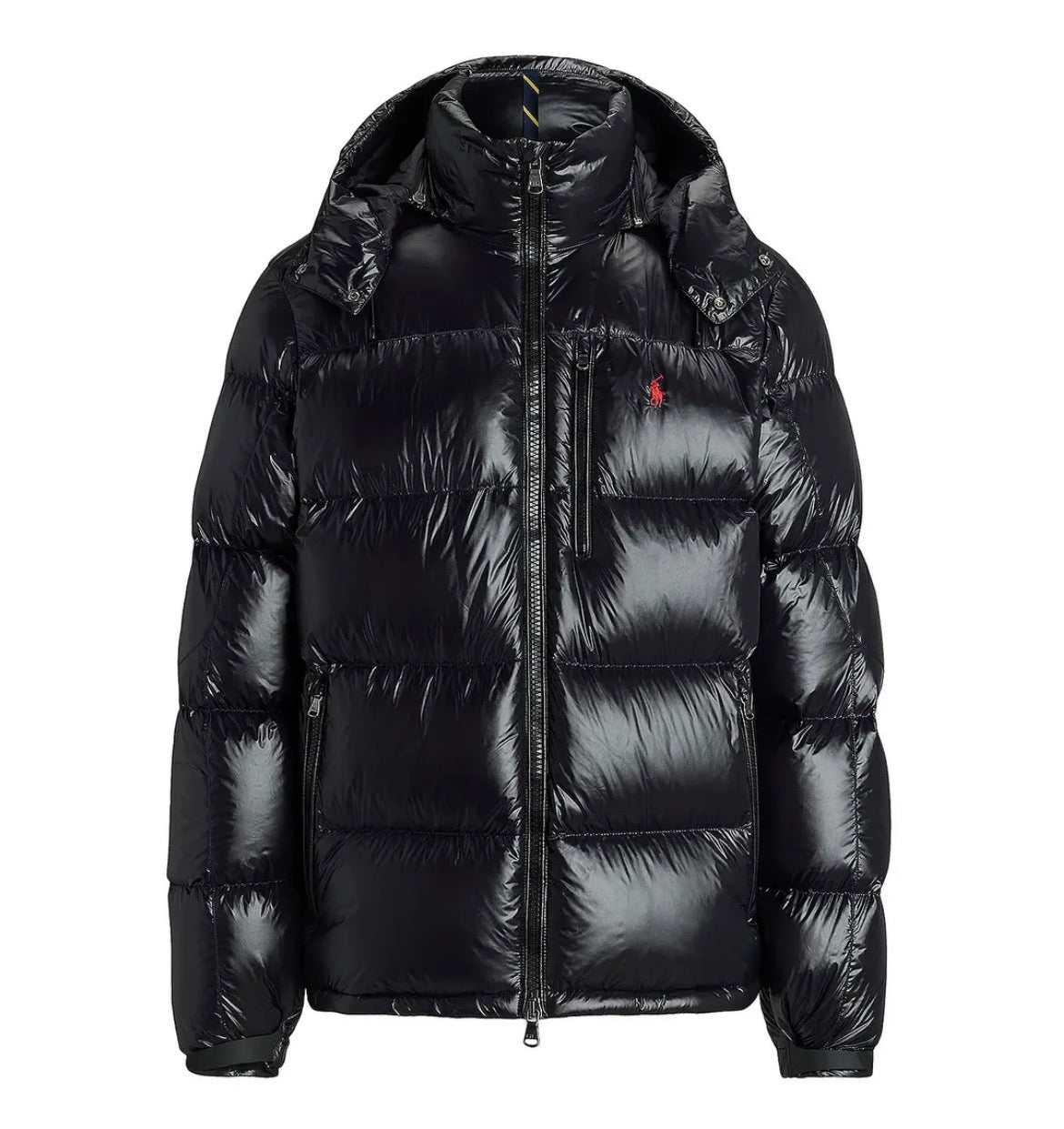 "RL" SHINY PUFFER